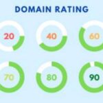 Domain Rating