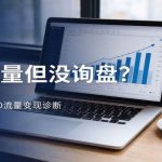 独立站seo有流量没询盘-GSC流量数据面板