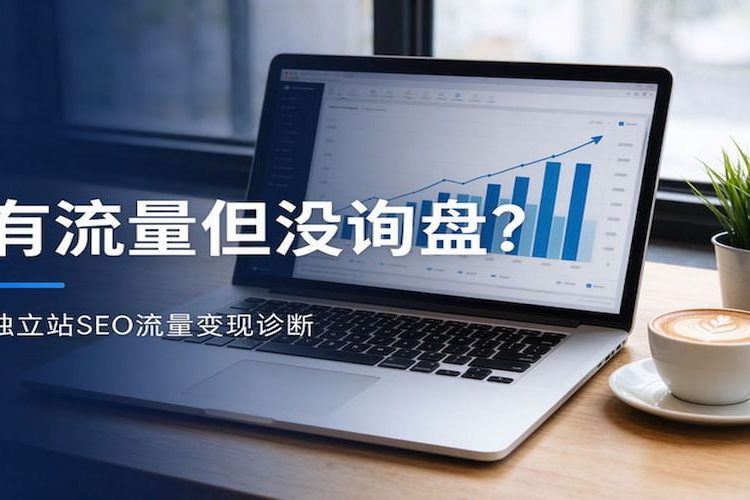 独立站seo有流量没询盘-GSC流量数据面板