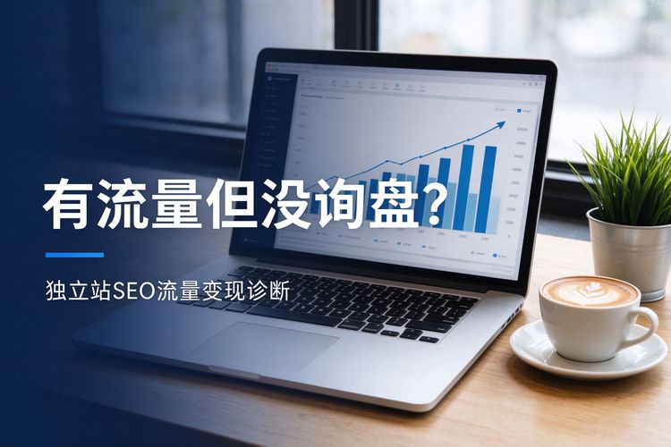 独立站seo有流量没询盘-GSC流量数据面板